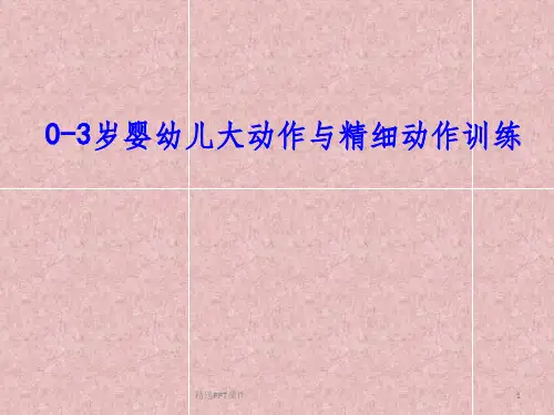 婴幼儿大动作与精细运动作ppt课件