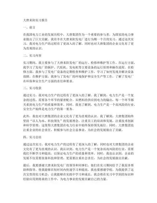 大唐耒阳实习报告