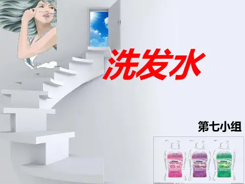 洗发水分析PPT课件