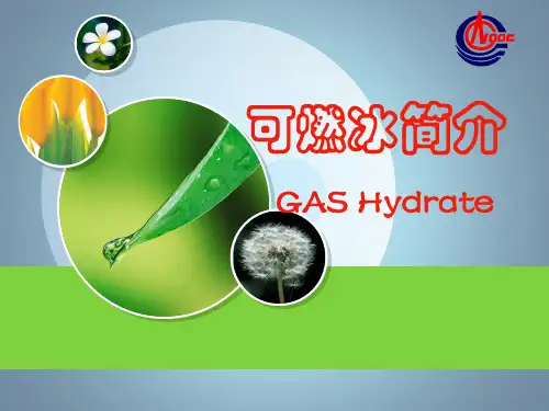可燃冰简介