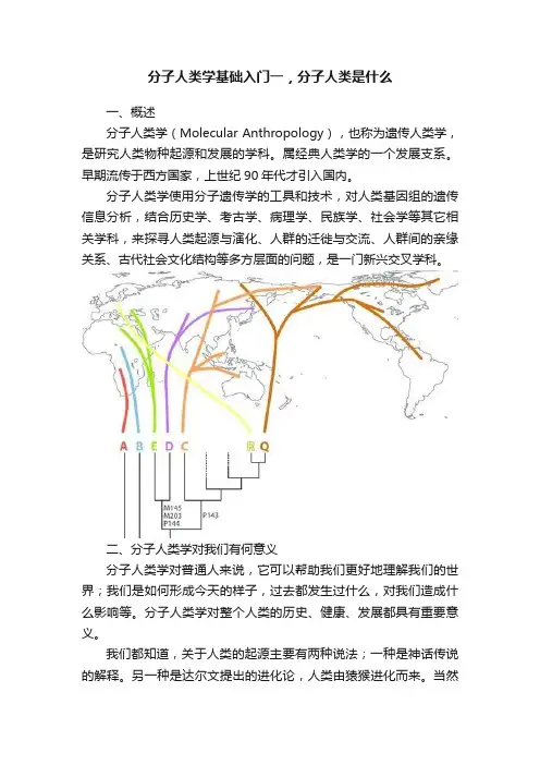 分子人类学基础入门一，分子人类是什么