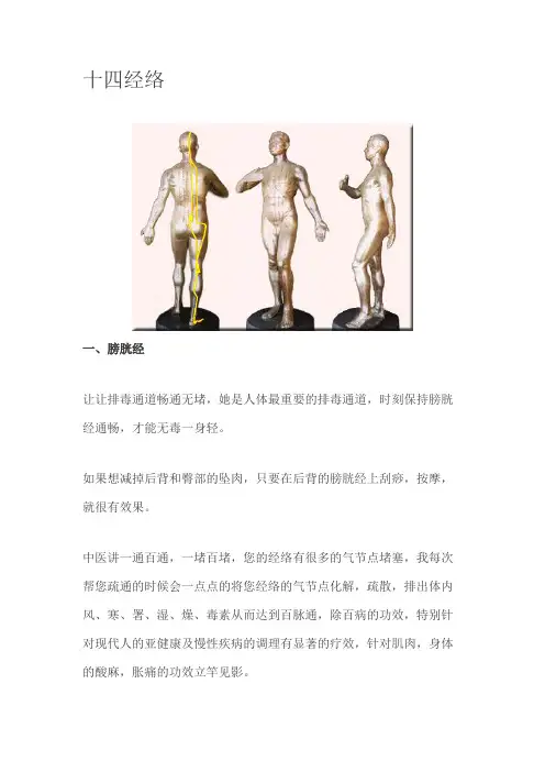 十四经络2