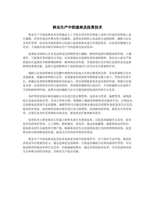 林业生产中的造林及抚育技术