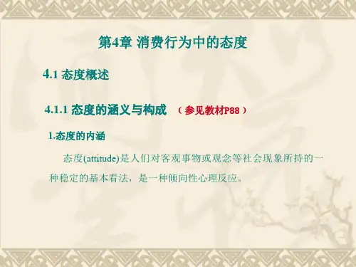 消费者行为(4)