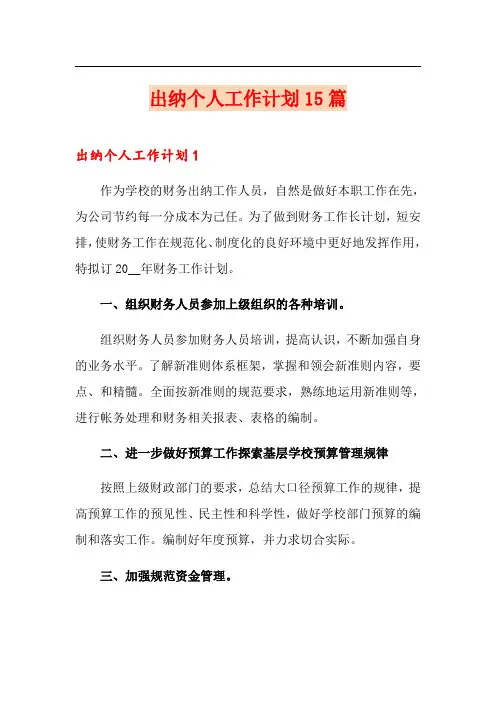 出纳个人工作计划15篇