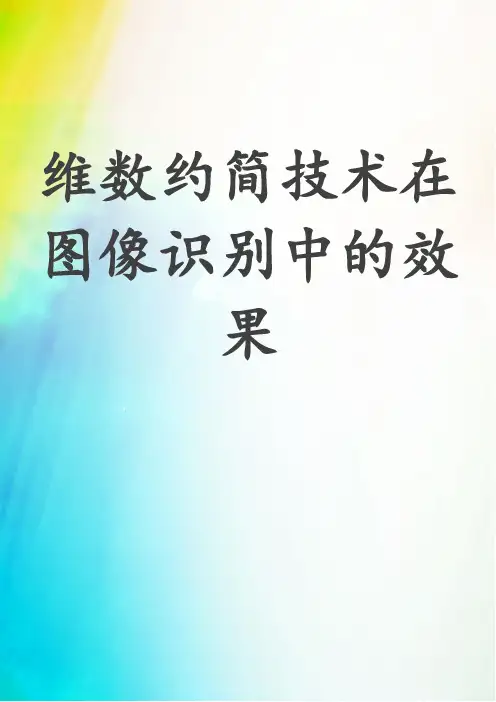 维数约简技术在图像识别中的效果