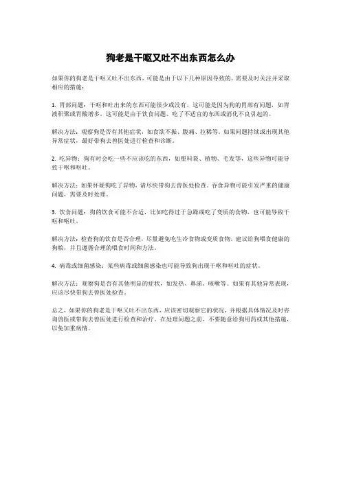 狗老是干呕又吐不出东西怎么办