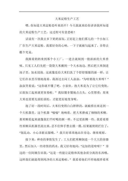 大米淀粉生产工艺