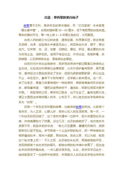 白芨：草药里的美白仙子