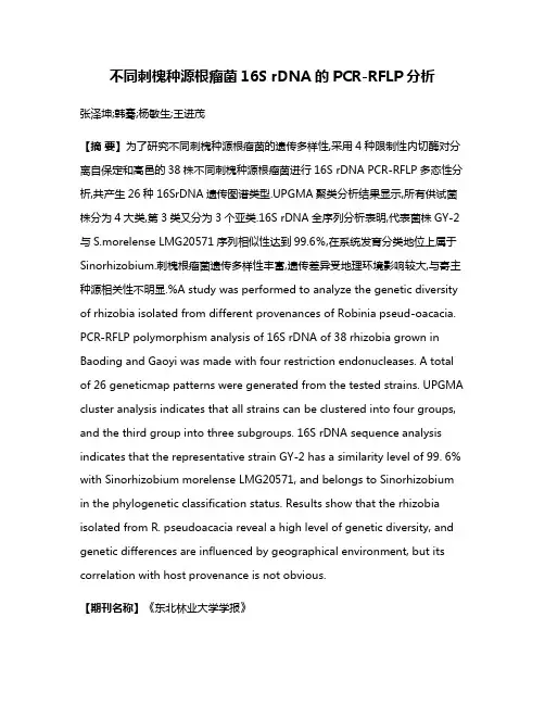 不同刺槐种源根瘤菌16S rDNA的PCR-RFLP分析