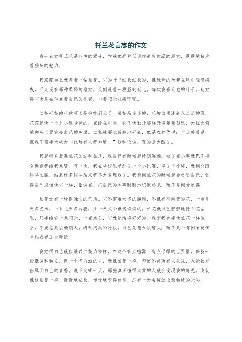 托兰花言志的作文