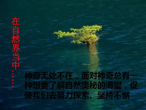 《探索之路》-完整版课件