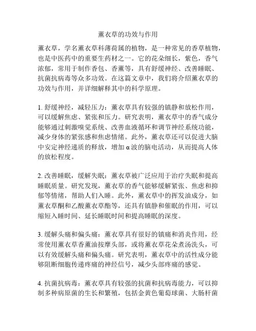 薰衣草的功效与作用
