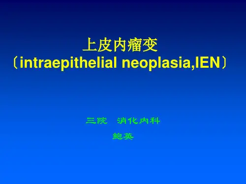 《上皮内瘤变》PPT课件