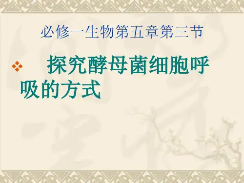 必修一生物探究酵母菌细胞呼吸的方式