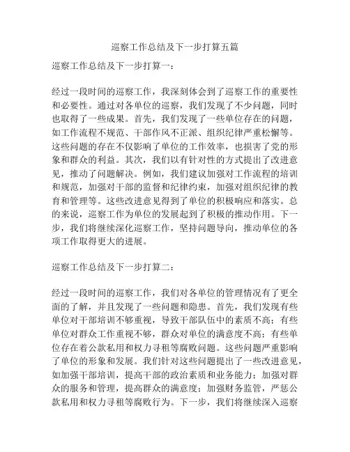 巡察工作总结及下一步打算五篇