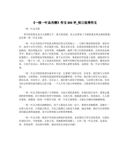 《一枝一叶总关情》作文800字_初三优秀作文