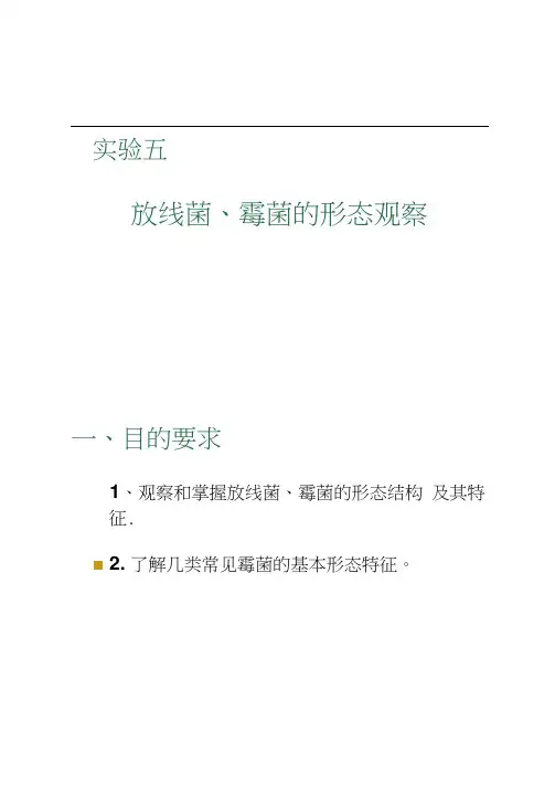 实验五放线菌、霉菌的形态观察.