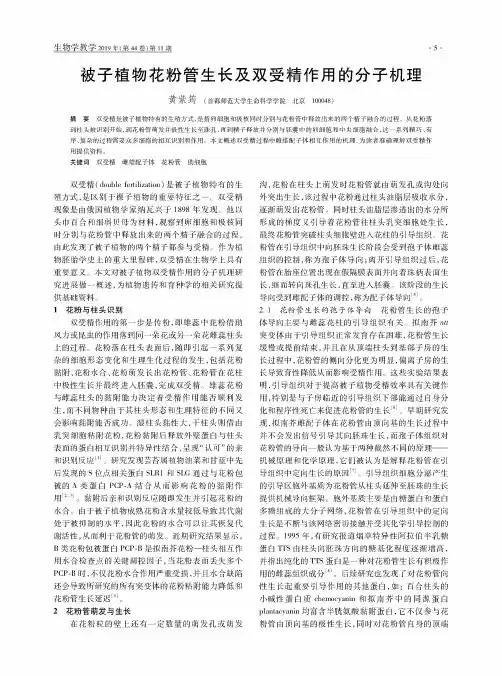 被子植物花粉管生长及双受精作用的分子机理
