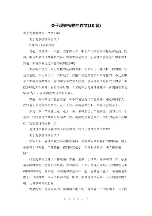 关于观察植物的作文(10篇)