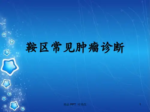 鞍区常见肿瘤精品课件