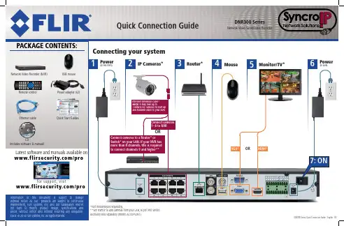 FLIR DNR300系列快速连接指南说明书