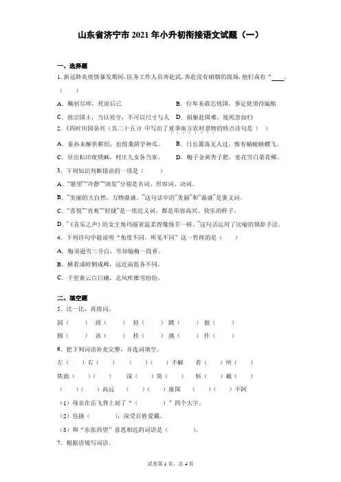 山东省济宁市 小升初衔接语文试题(一)(含答案)