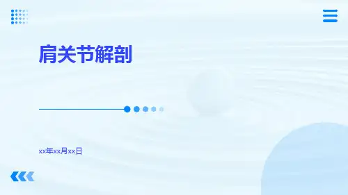 (医学课件)肩关节解剖