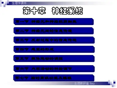 温州医科大学《生理学》神经9 王庭槐ppt课件