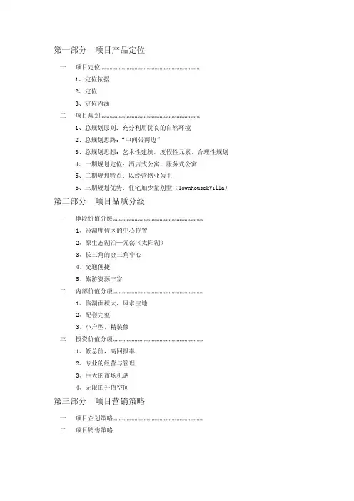 项目定位及策略