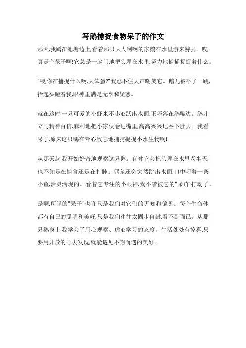 写鹅捕捉食物呆子的作文