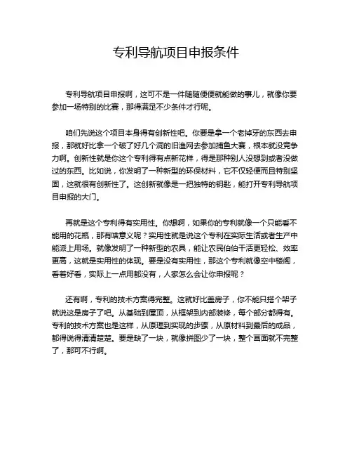 专利导航项目申报条件