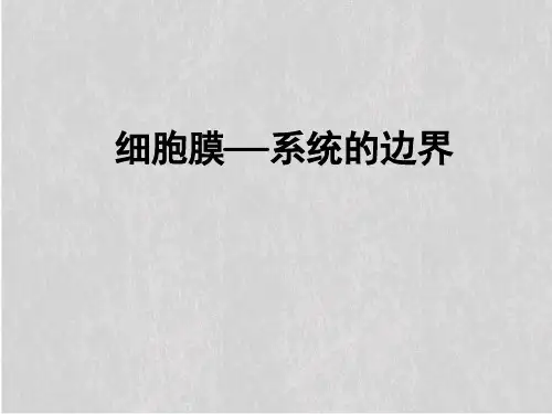 人教版高中生物必修一第3章第1节细胞膜——系统的边界  课件