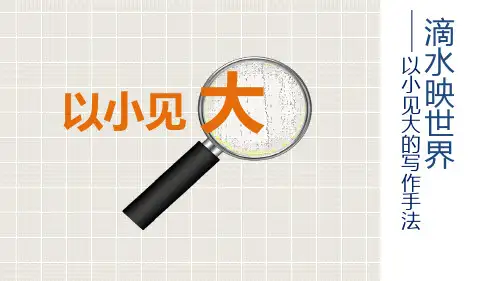 初中语文作文辅导《以小见大》PPT课件