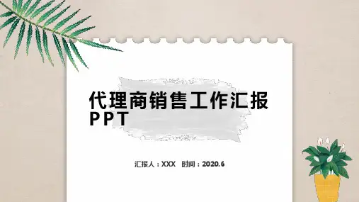代理商销售工作汇报PPT
