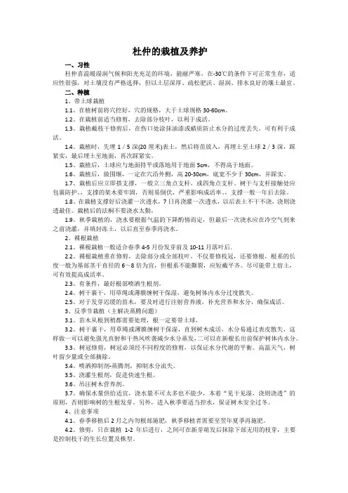 杜仲的栽培及养护技术