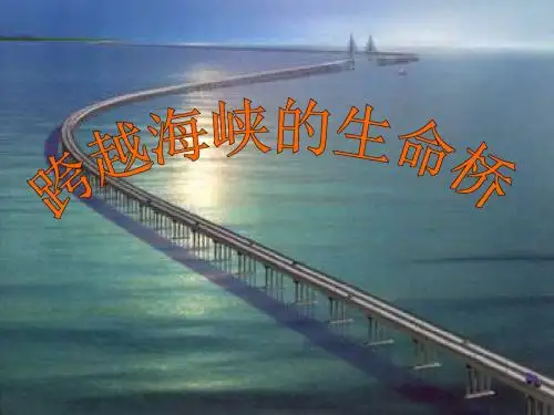 人教版小学语文四年级上册《第六组：22跨越海峡的生命桥》优质课课件_5