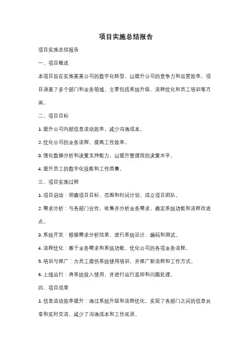 项目实施总结报告