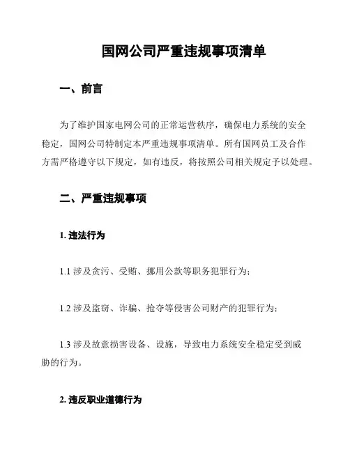 国网公司严重违规事项清单