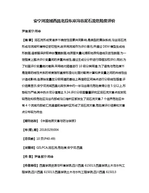 安宁河流域西昌北段东岸沟谷泥石流危险度评价