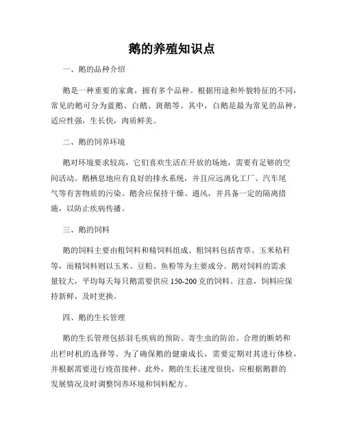 鹅的养殖知识点