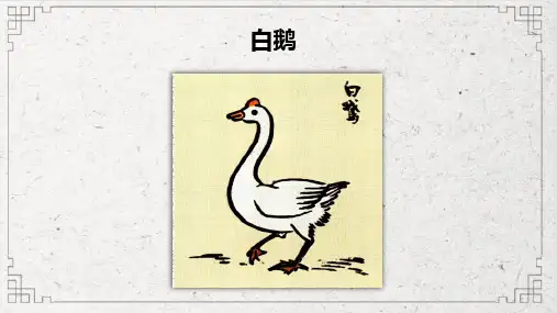 部编版语文四年级下册15白鹅课件(共17张PPT)