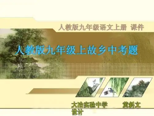 9人教版九年级语文上册故乡中考题讲解课件