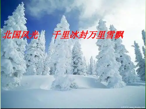 教科版八上物理 5.4地球上的水循环 课件