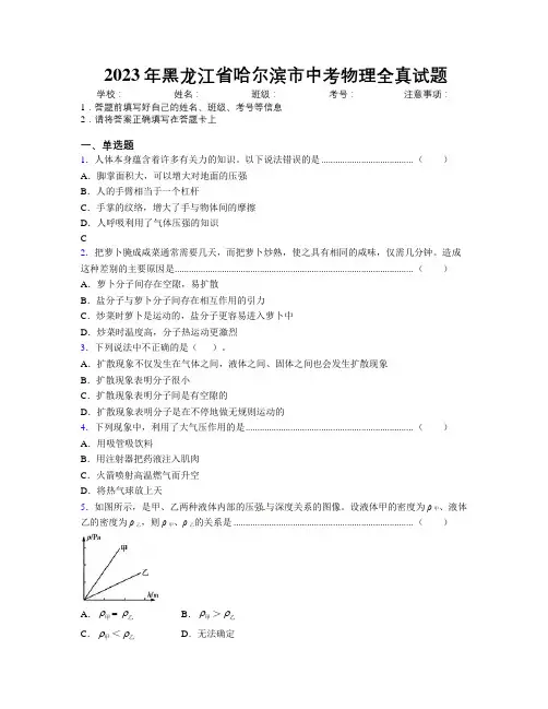 2023年黑龙江省哈尔滨市中考物理全真试题附解析