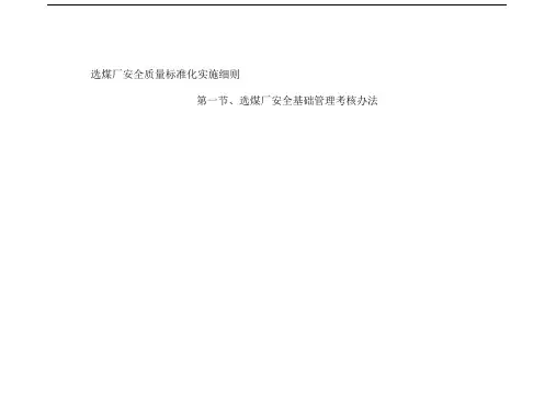 选煤厂安全质量标准化实施细则