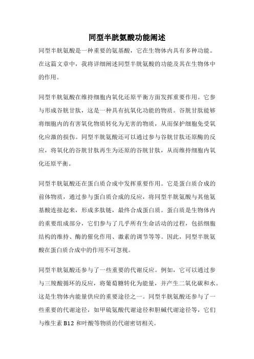 同型半胱氨酸功能阐述