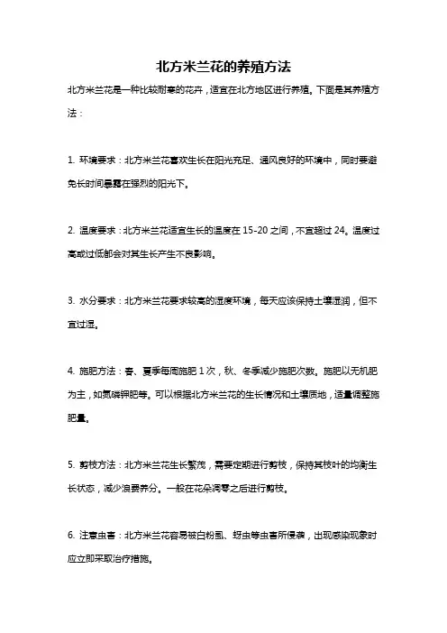 北方米兰花的养殖方法