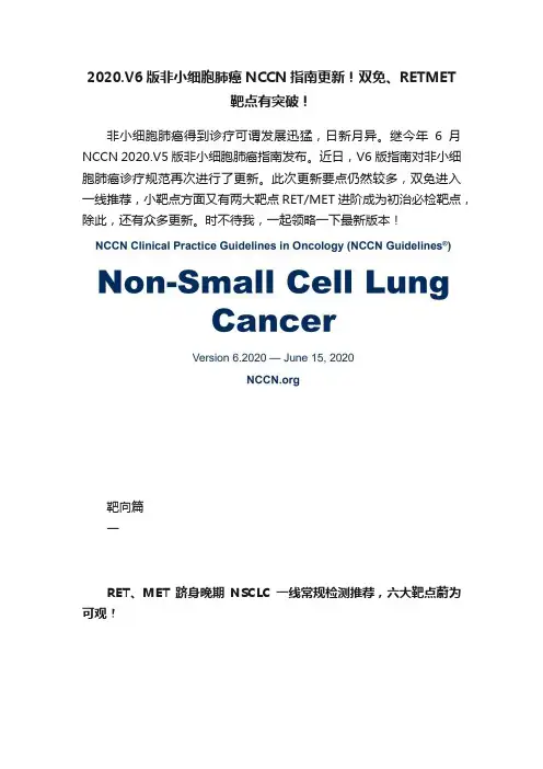 2020.V6版非小细胞肺癌NCCN指南更新！双免、RETMET靶点有突破！