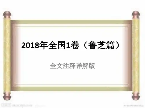 2018年全国1卷(鲁芝篇)